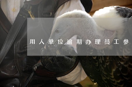 用人单位逾期办理员工参保
