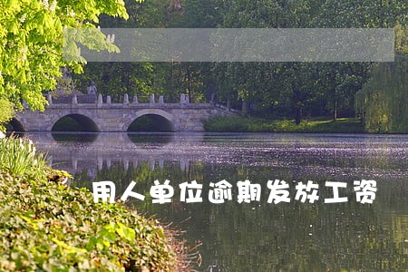 用人单位逾期发放工资 用人单位逾期发放工资