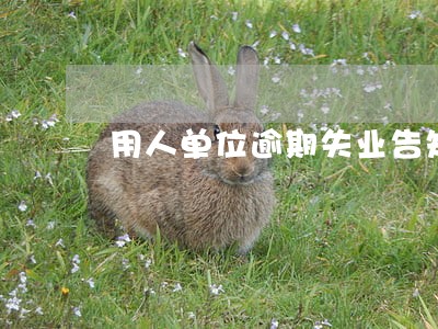 用人单位逾期失业告知 用人单位逾期失业告知
