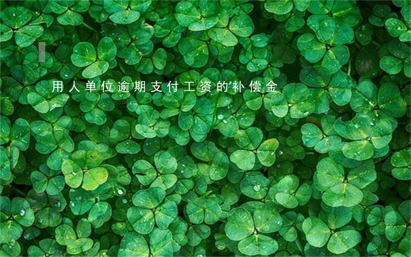 用人单位逾期支付工资的补偿金 用人单位逾期支付工资的补偿金