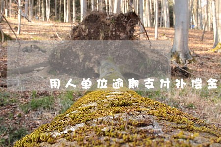 用人单位逾期支付补偿金 用人单位逾期支付补偿金