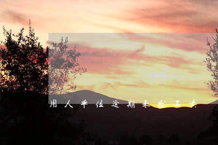 用人单位逾期未发工资