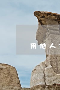 用他人信用卡导致逾期记录 用他人信用卡导致逾期记录