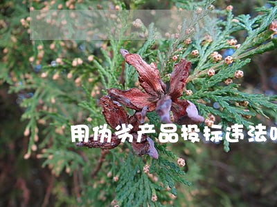用伪劣产品投标违法吗 用伪劣产品投标违法吗