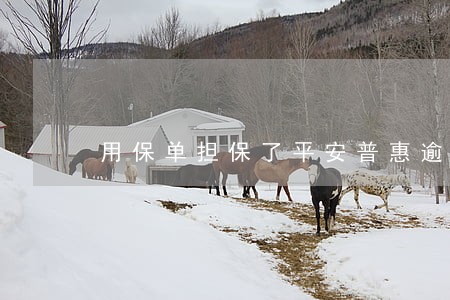 用保单担保了平安普惠逾期