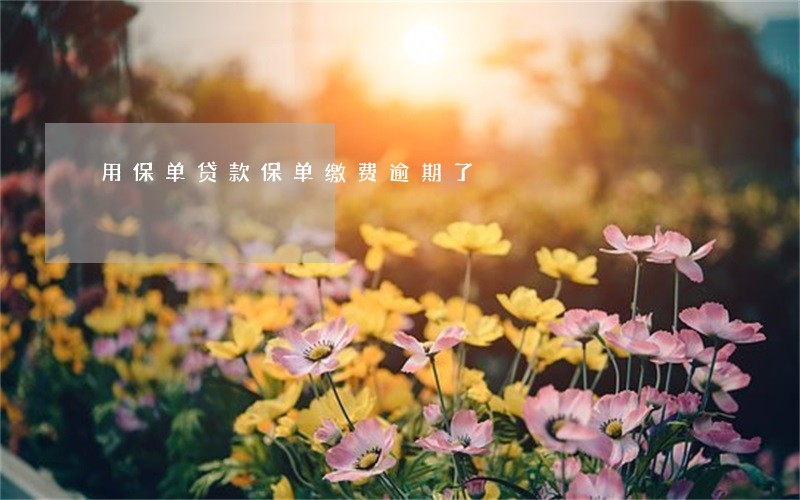 用保单贷款保单缴费逾期了 用保单贷款保单缴费逾期了