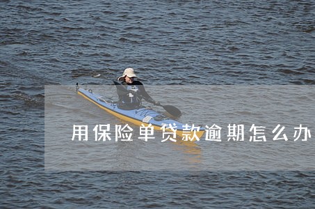 用保险单贷款逾期怎么办 用保险单贷款逾期怎么办