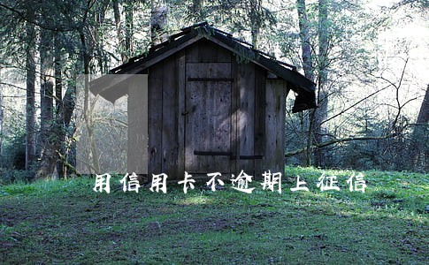 用信用卡不逾期上征信 用信用卡不逾期上征信