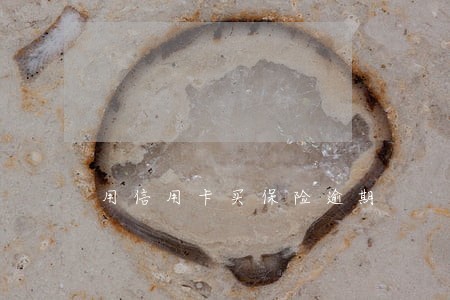 用信用卡买保险逾期 用信用卡买保险逾期
