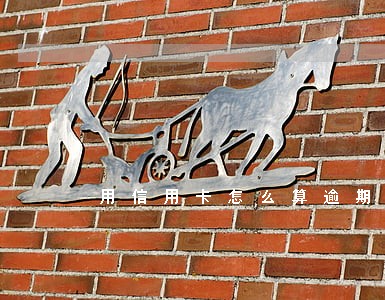 用信用卡怎么算逾期