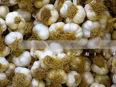 用信用卡有逾期30元 用信用卡有逾期30元