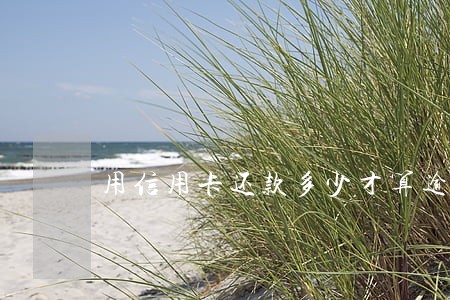 用信用卡还款多少才算逾期