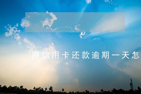 用信用卡还款逾期一天怎么办 用信用卡还款逾期一天怎么办
