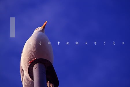 用信用卡逾期五年了怎么办 用信用卡逾期五年了怎么办