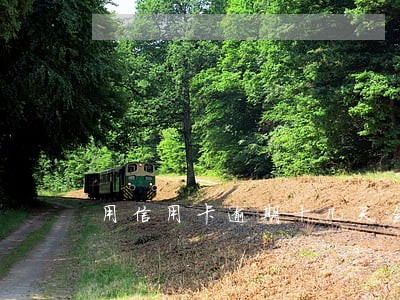 用信用卡逾期十几天会怎么样 用信用卡逾期十几天会怎么样