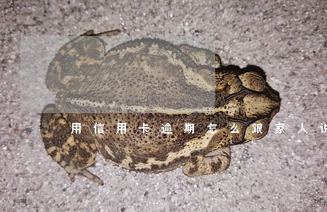 用信用卡逾期怎么跟家人说 用信用卡逾期怎么跟家人说