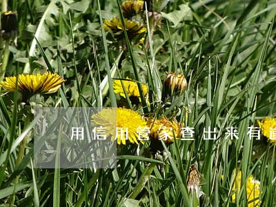 用信用管家查出来有逾期记录 用信用管家查出来有逾期记录