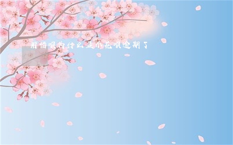 用借呗为什么显示花呗逾期了 用借呗为什么显示花呗逾期了