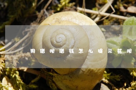 用借呗借钱怎么提示花呗逾期 用借呗借钱怎么提示花呗逾期