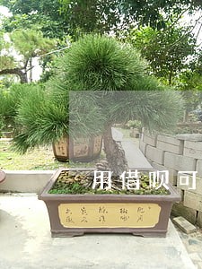 用借呗可以消除信用卡逾期记录吗 用借呗可以消除信用卡逾期记录吗
