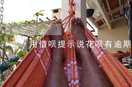 用借呗提示说花呗有逾期 用借呗提示说花呗有逾期