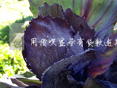 用借呗显示有贷款逾期 用借呗显示有贷款逾期