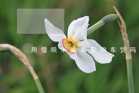 用借呗未逾期影响车贷吗 用借呗未逾期影响车贷吗
