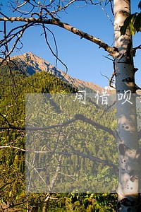 用借呗没有逾期过会上征信吗 用借呗没有逾期过会上征信吗