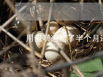 用借呗逾期了半个月还能借吗 用借呗逾期了半个月还能借吗