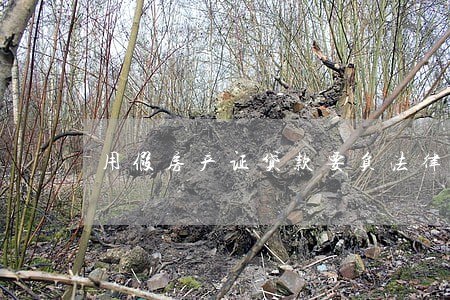用假房产证贷款要负法律责任吗