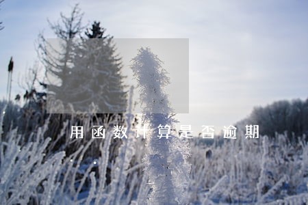 用函数计算是否逾期 用函数计算是否逾期