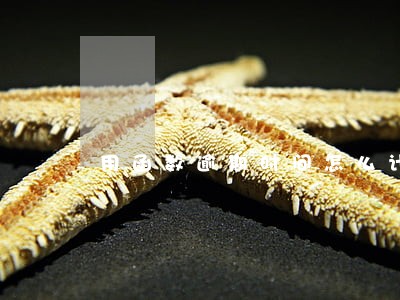 用函数逾期时间怎么计算公式 用函数逾期时间怎么计算公式