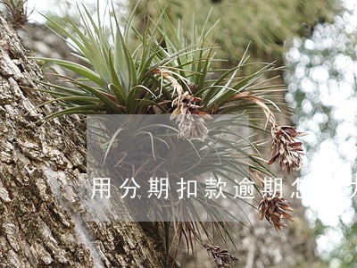 用分期扣款逾期怎么办 用分期扣款逾期怎么办