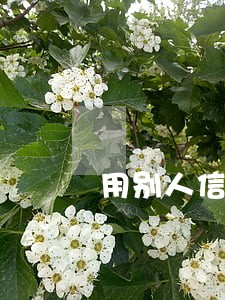 用别人信用卡逾期怎么办