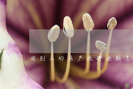 用别人的房产抵押逾期怎么办 用别人的房产抵押逾期怎么办