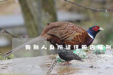 用别人身份证注册店铺刑法
