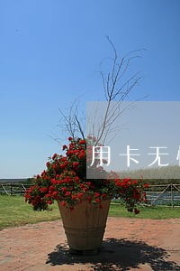 用卡无忧费用逾期 用卡无忧费用逾期