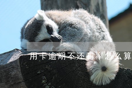 用卡逾期不还利率怎么算 用卡逾期不还利率怎么算