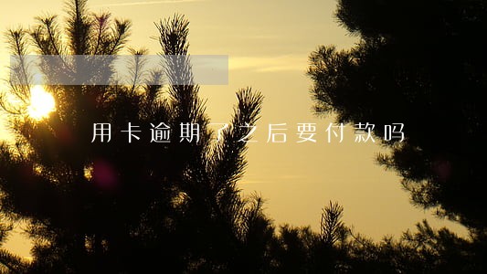 用卡逾期了之后要付款吗 用卡逾期了之后要付款吗