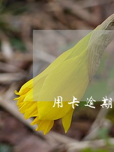 用卡逾期有几年才能贷款 用卡逾期有几年才能贷款