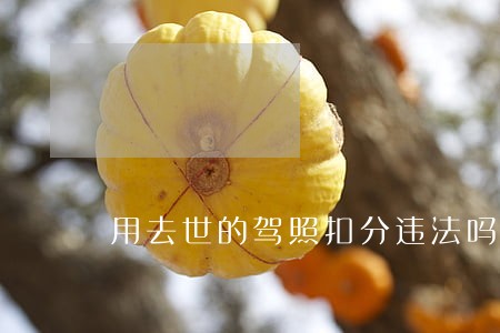 用去世的驾照扣分违法吗