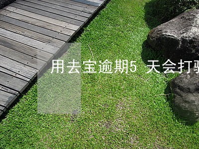 用去宝逾期5天会打骚扰电话吗 用去宝逾期5天会打骚扰电话吗