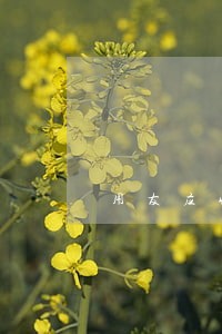 用友应收逾期日期怎么计算公式 用友应收逾期日期怎么计算公式