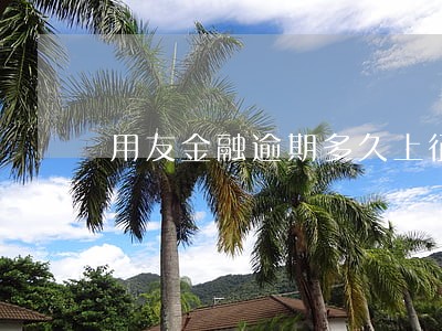 用友金融逾期多久上征信 用友金融逾期多久上征信