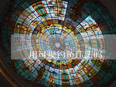 用可视钓鱼违法吗 用可视钓鱼违法吗