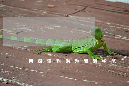 用司法利剑为河源护航 用司法利剑为河源护航