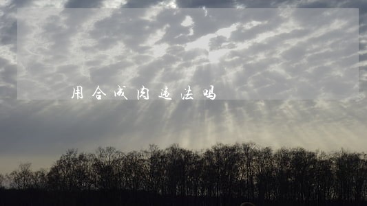 用合成肉违法吗 用合成肉违法吗