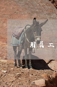 用员工成立公司贷款逾期