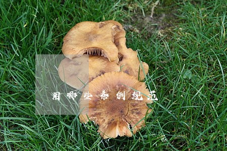 用哪些条例规范 用哪些条例规范