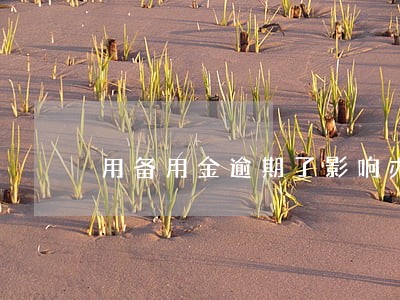 用备用金逾期了影响办房贷吗 用备用金逾期了影响办房贷吗